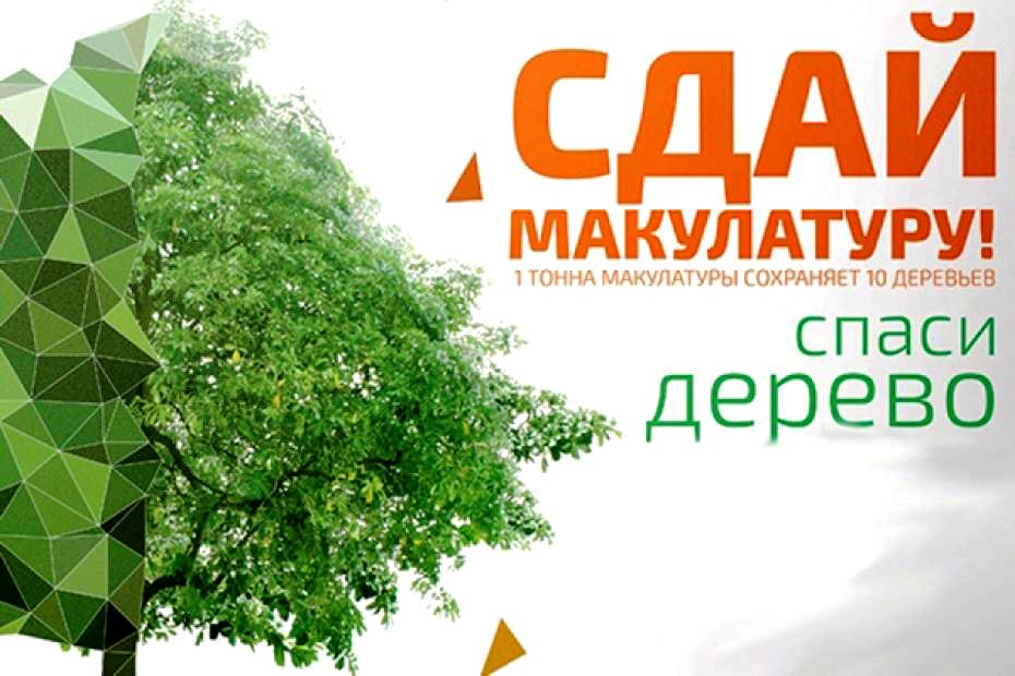 Весенний эко-марафон: район спасёт леса Весенний эко-марафон: район спасёт леса