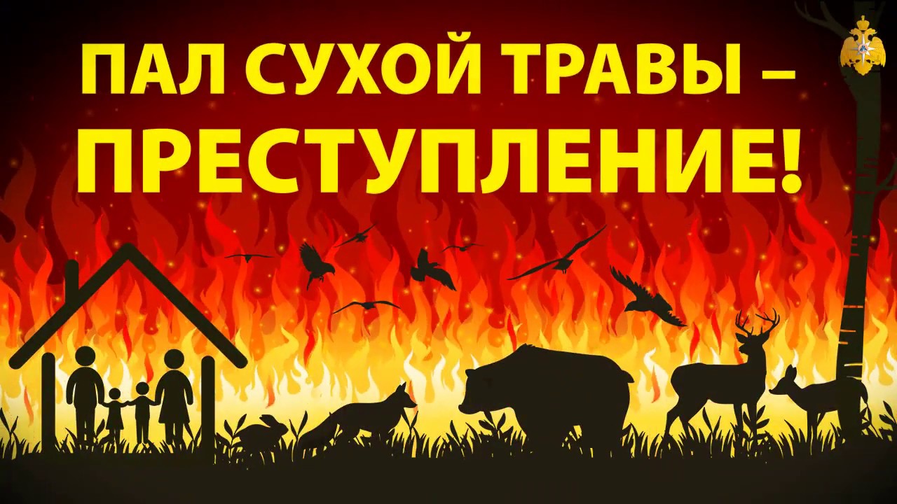 Предупреждение палов травы: профилактическая беседа со школьниками Предупреждение палов травы: профилактическая беседа со школьниками