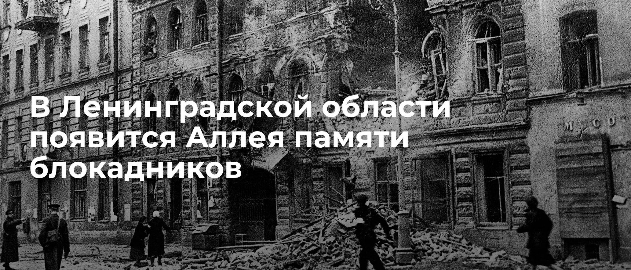 Аллея памяти блокадников Аллея памяти блокадников