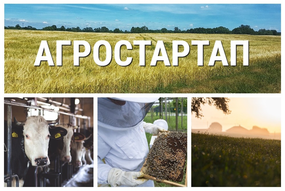 Нацпроект «Агростартап» в Ленинградской области Нацпроект «Агростартап» в Ленинградской области