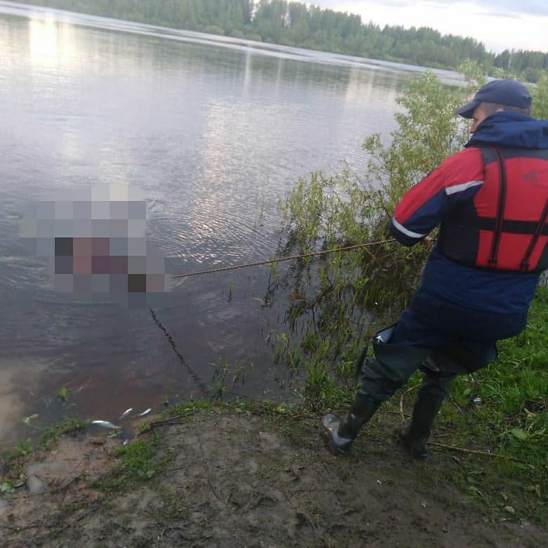 В реке Волхов обнаружен труп мужчины