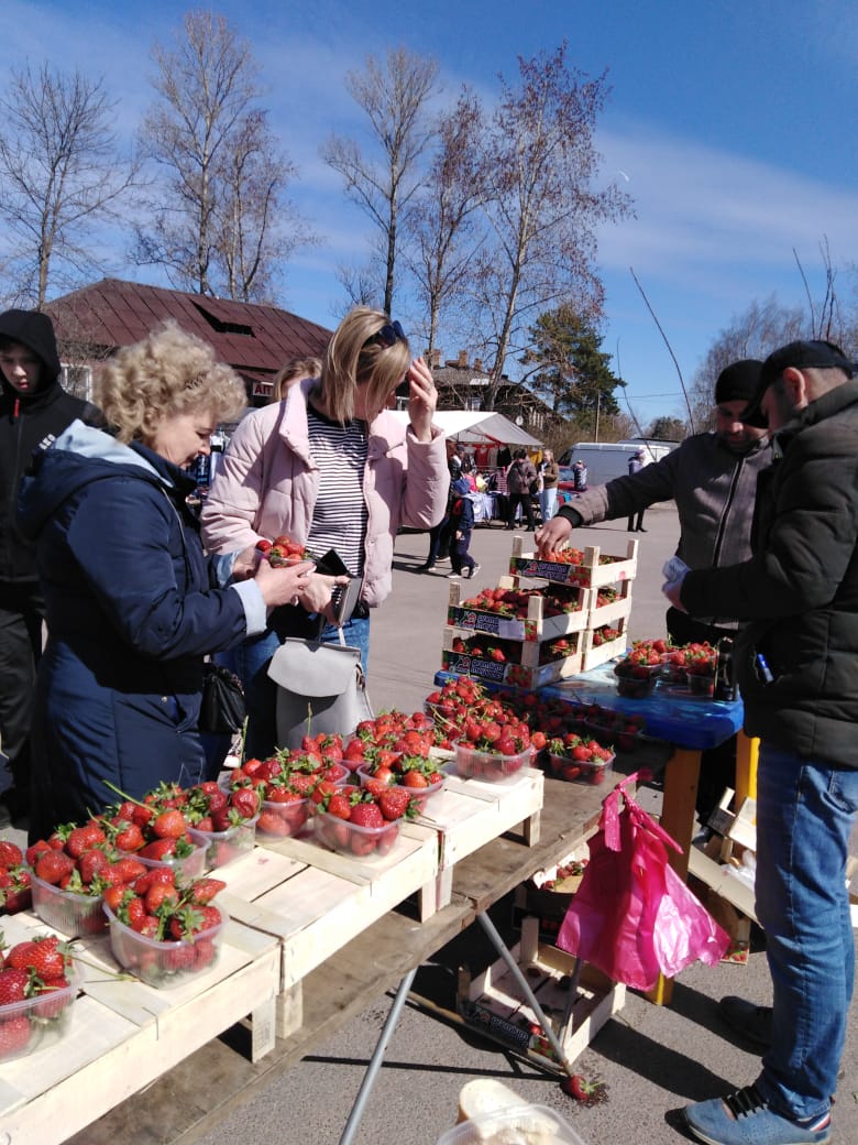 Ярмарка в Сясьстрое