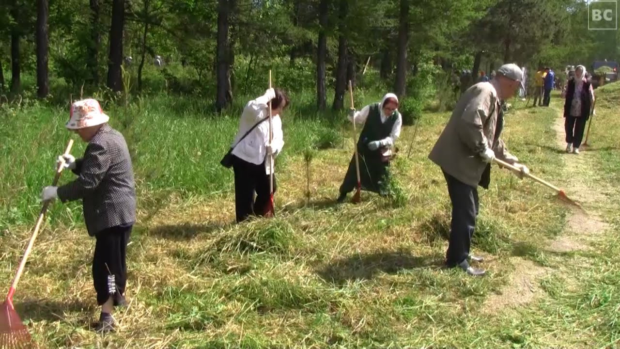 Субботник в лесопарке имени П.Г. Антипова