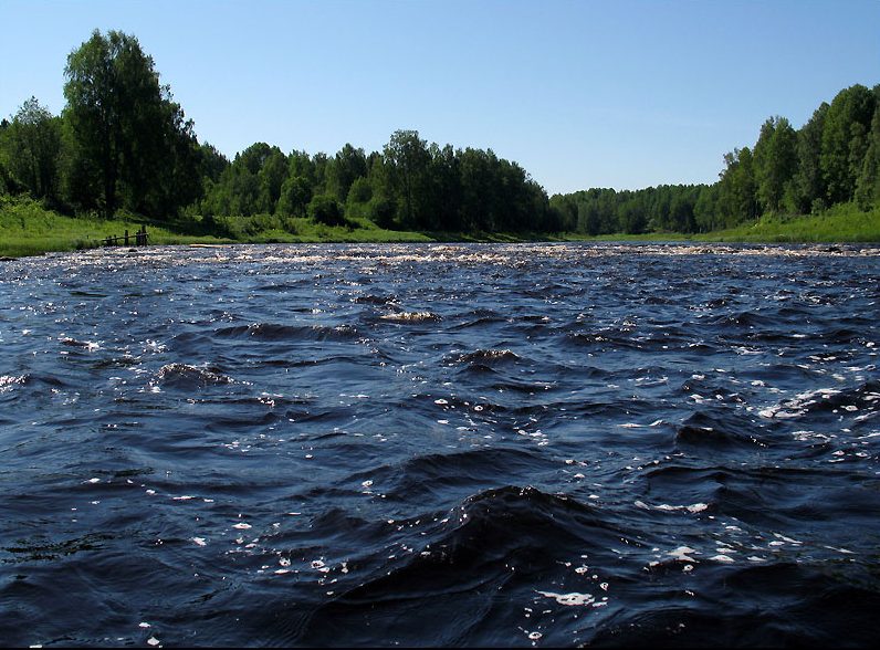 Волховские водоёмы вновь не одобрили Волховские водоёмы вновь не одобрили