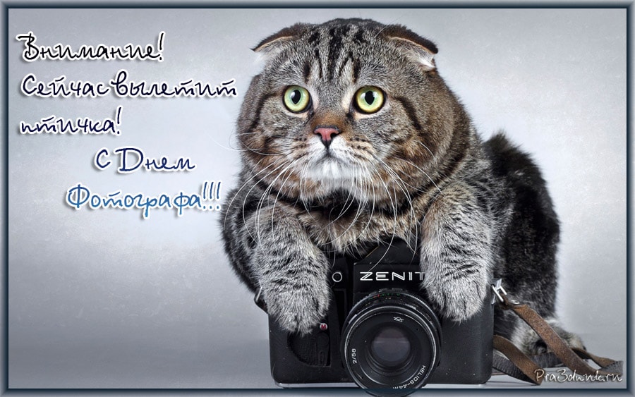 День фотографа День фотографа