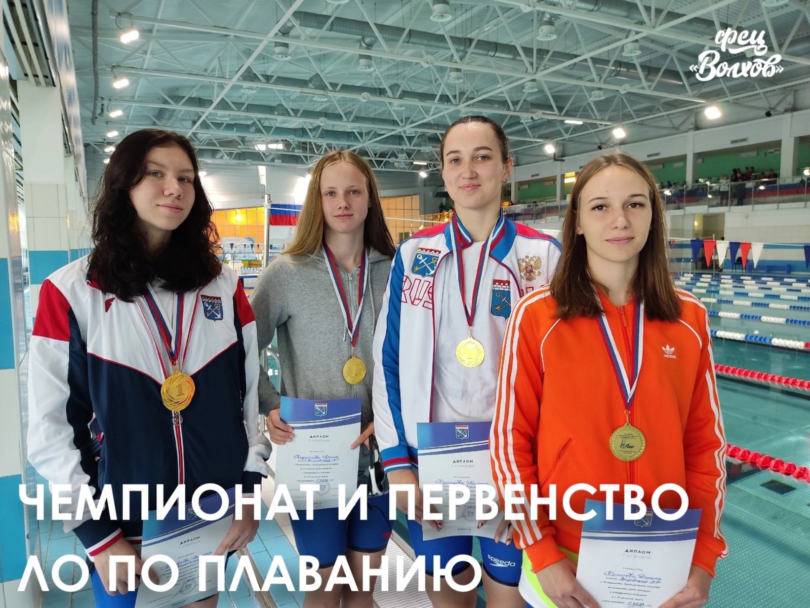 Успехи наших пловцов Успехи наших пловцов
