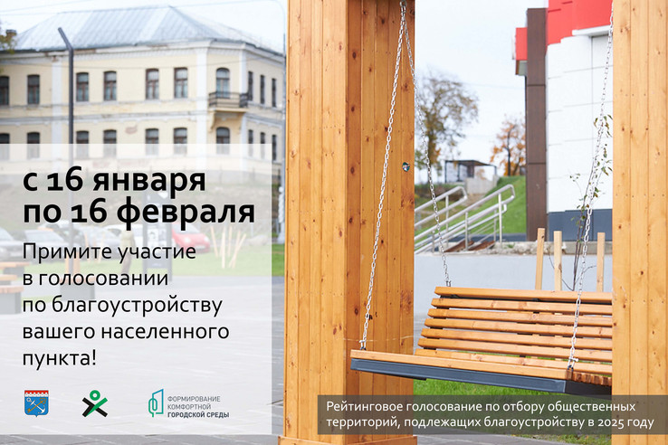 День до конца голосования
