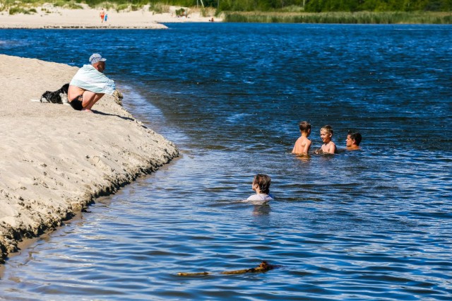 Волхов и Сясь - вне пригодных водоёмов
