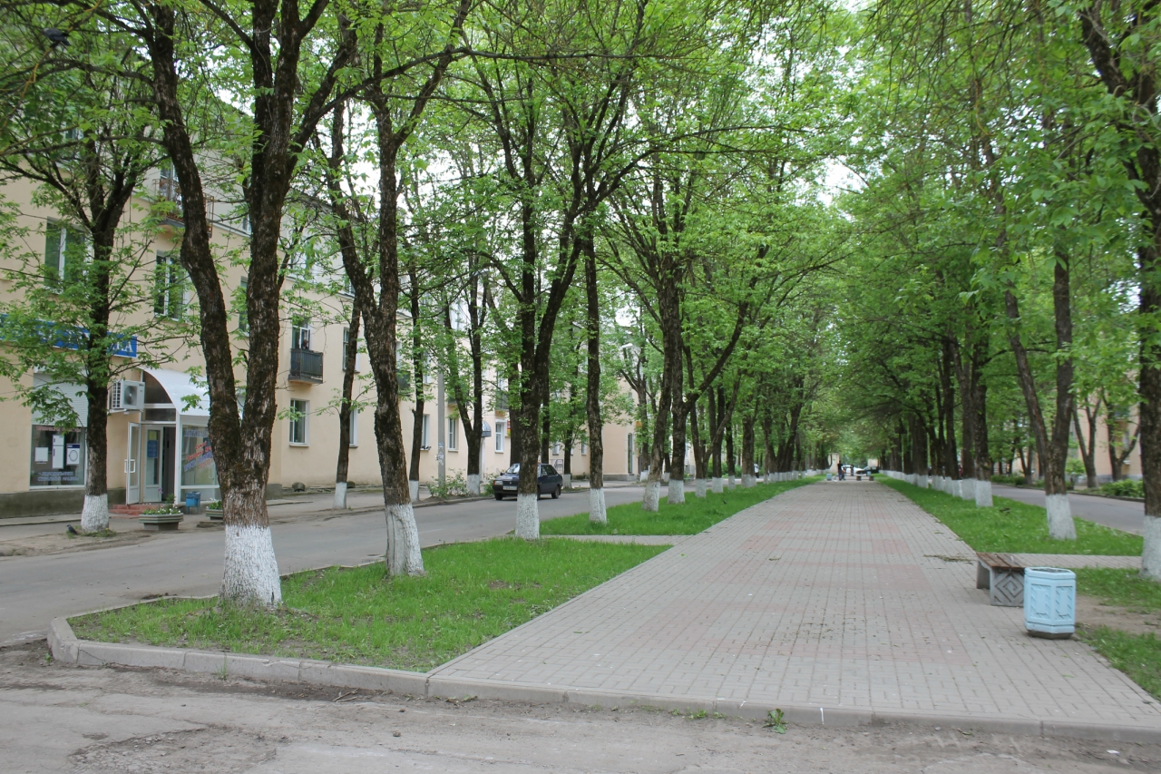 В Волхове перекроют Бульвар Чайковского