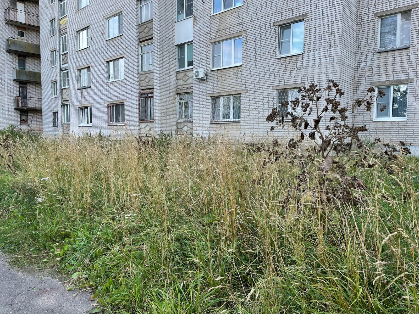 Новые нарушения в покосе территорий