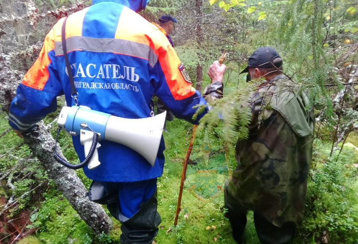 Мужчина заблудился в лесах района