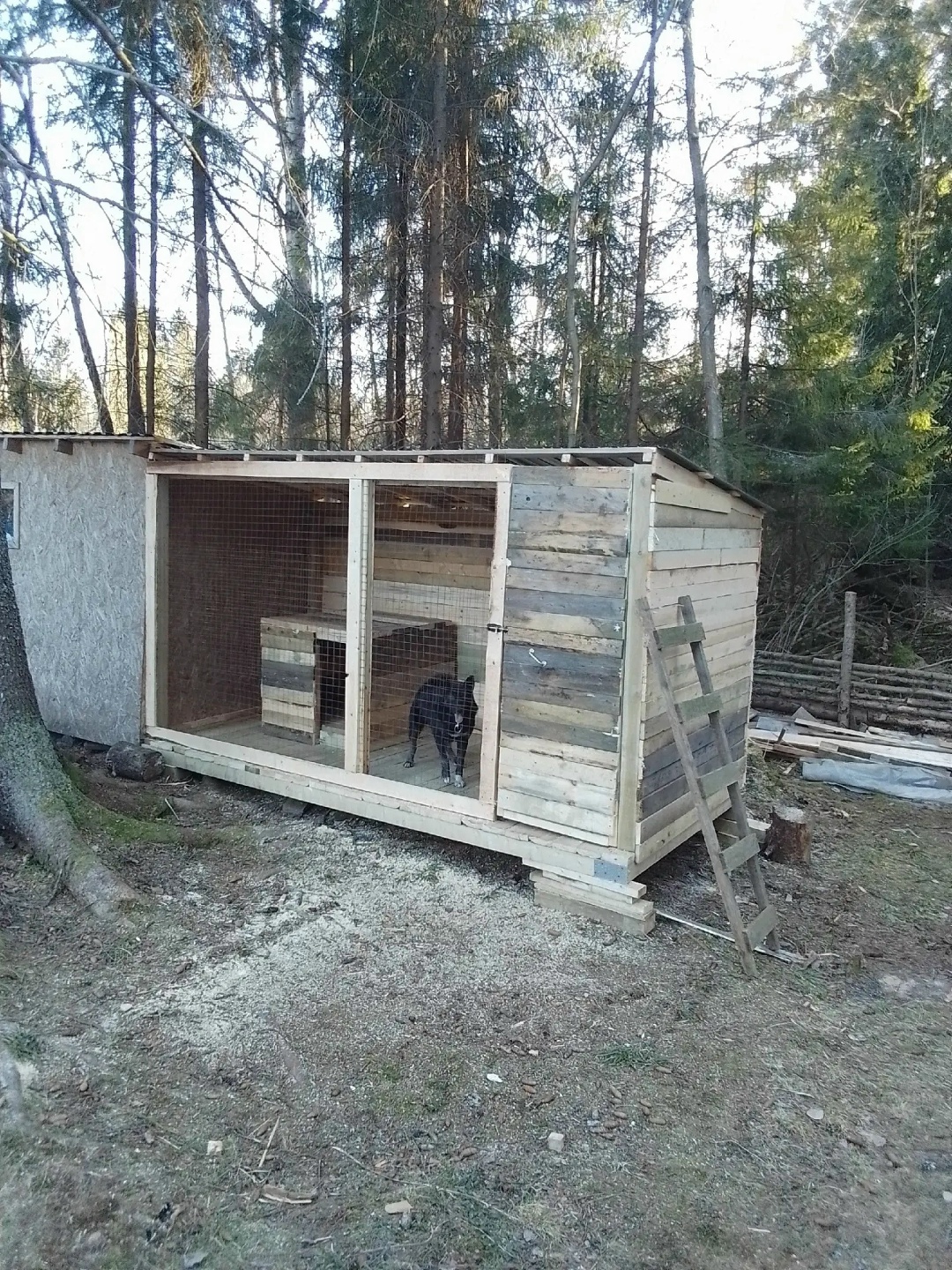 Забота о защитнике