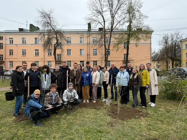 В Волхове расцвела «Сирень Победы» В Волхове расцвела «Сирень Победы»